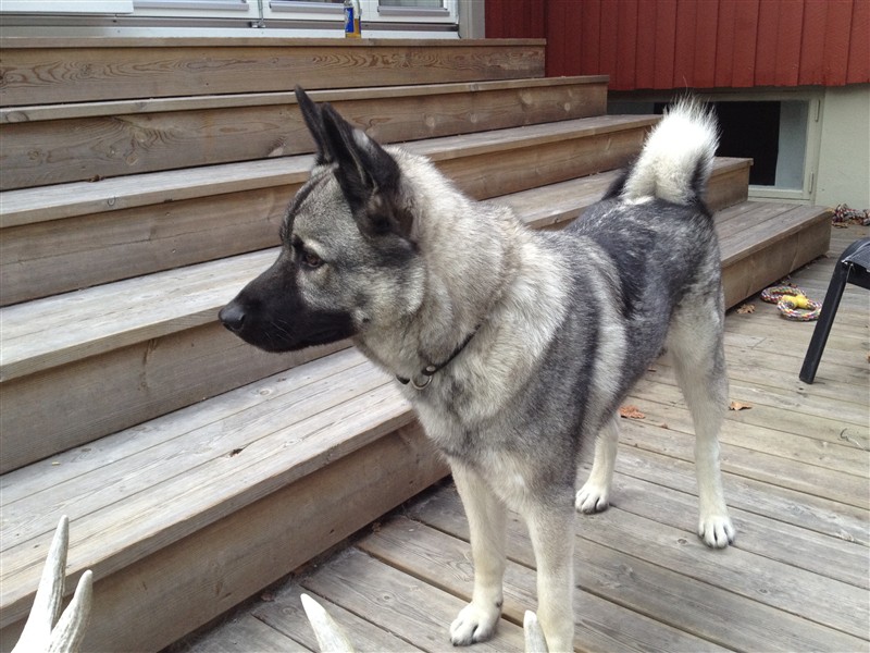 Egon 20120803.JPG